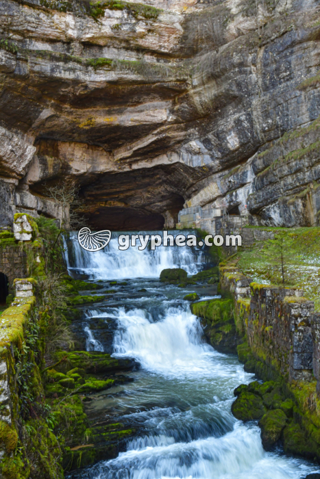 Résurgence de la Loue (Jura, France) - gryphea.com